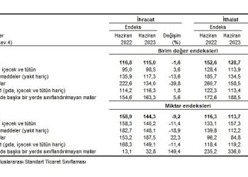 TÜİK: İhracat birim değer endeksi %1,6 azaldı