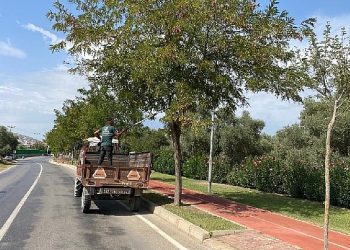 Milas Belediyesi mevsimsel bakım çalışmalarına devam ediyor