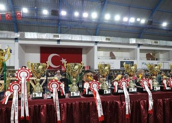 Dünyanın En Büyük Kanarya Yarışması Edremit’te
